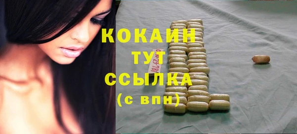 мдпв Майский