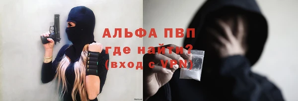 сатива Магадан