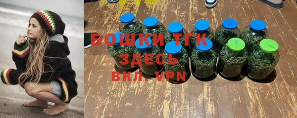 сатива Магадан