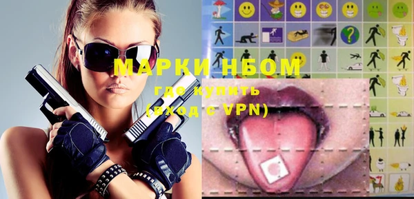 сатива Магадан