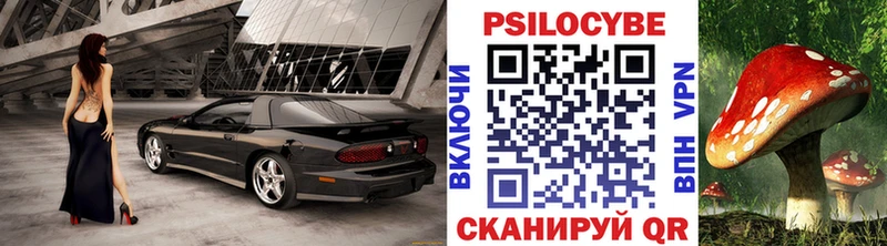 Галлюциногенные грибы Psilocybe  Купить где  Никольск 